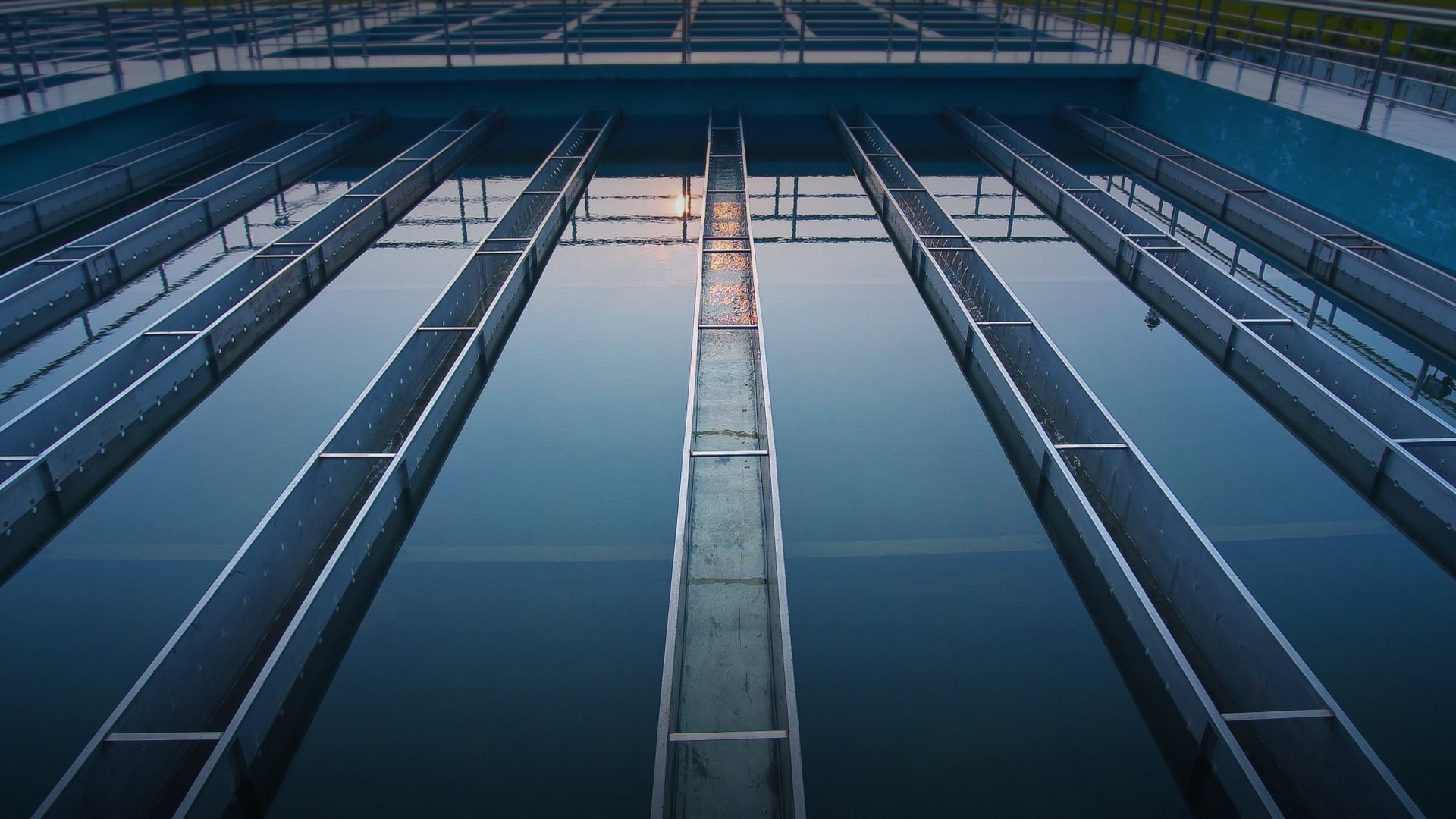 招標(biāo)采購(gòu)